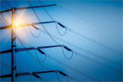 Optimisation des Réseaux Électriques 